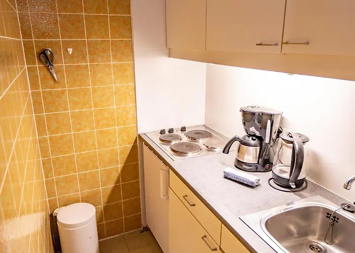 Zinnie 公寓 阿尔特瑙